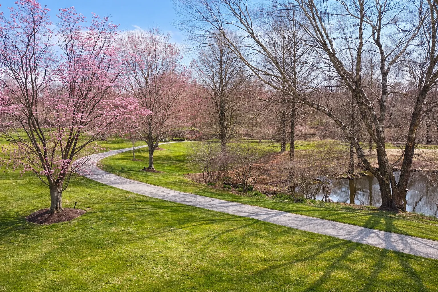 Jenner's Pond — Photo 3