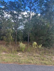 Locust Loop Pl Lot 8, Ocala, FL, 34472
