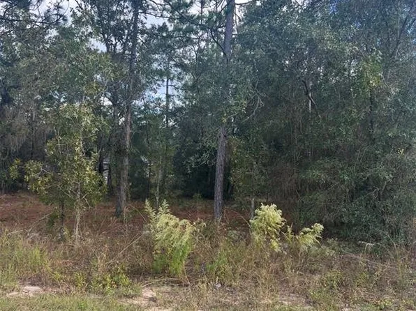 Locust Loop Pl Lot 8, Ocala, FL 34472