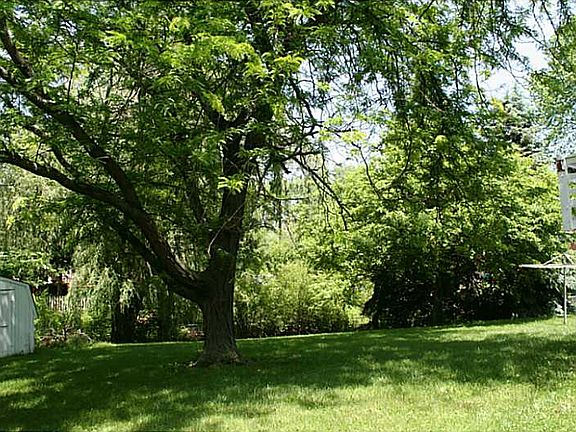 4th image of 4018 Hollow Creek Dr
