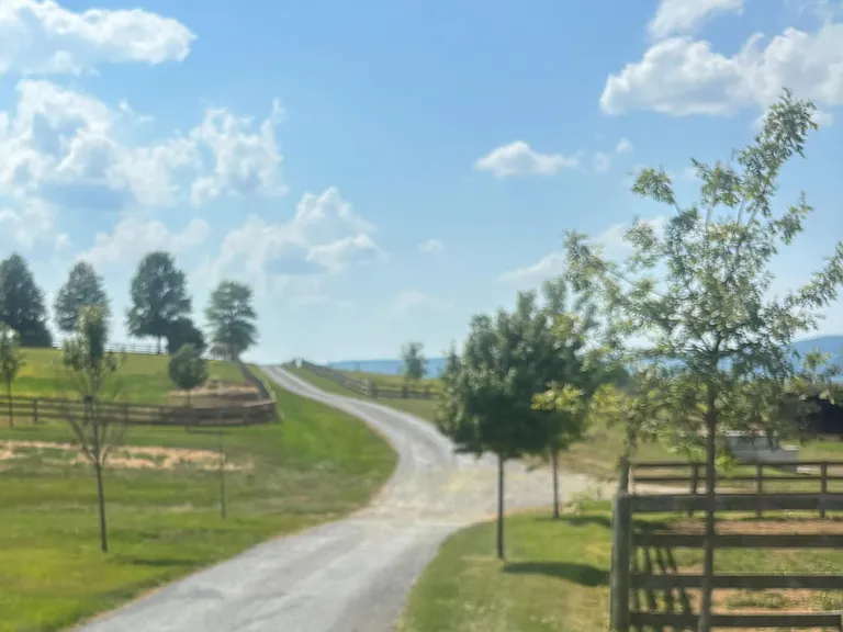 6110 Holter Rd — Photo 5