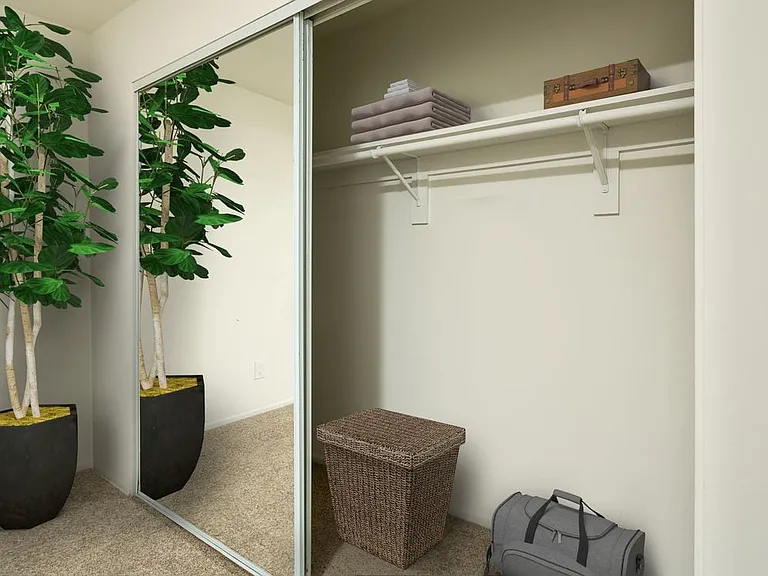 Renovated I closet
