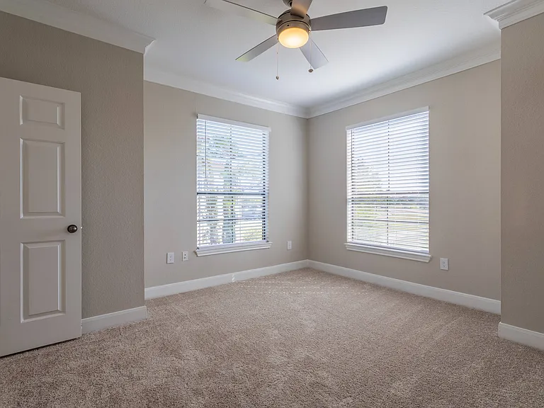 Large Windows in Primary Bedroom