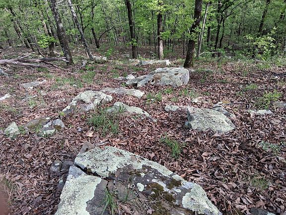 4th image of 0 SE 180th Rd Tract 1
