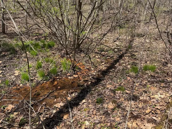 0 Laurel Dr, Rocky Gap, VA 24366