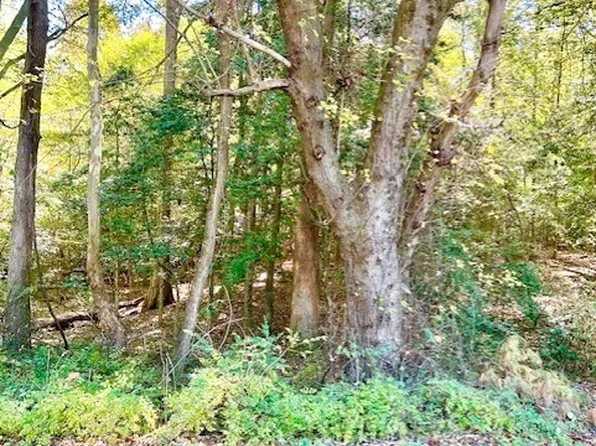 0 Airport Rd, Quinton, VA 23141