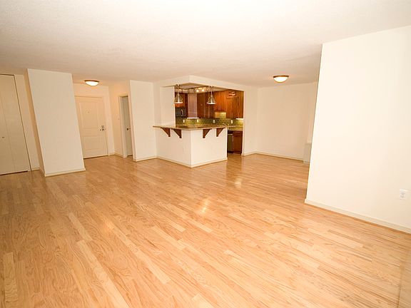 Large living hardwood