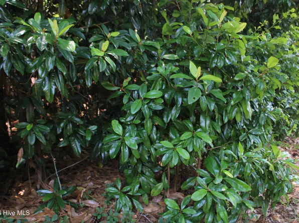 LOT 20 Grant Dr, Goldsboro, NC 27534