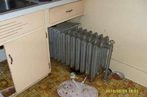 4th image of 29345 Pinehurst St