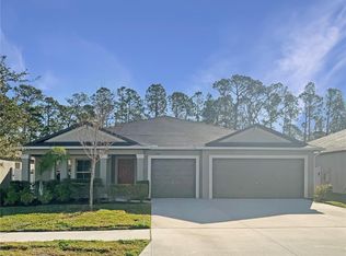13507 Willow Bluestar Loop, Riverview, FL 33579