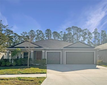 13507 Willow Bluestar Loop, Riverview, FL, 33579