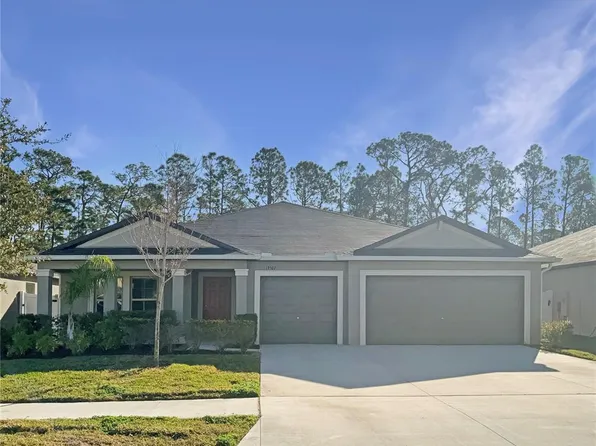 13507 Willow Bluestar Loop, Riverview, FL 33579