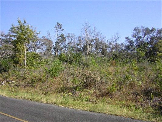2nd image of Tiki Ln Lot 19