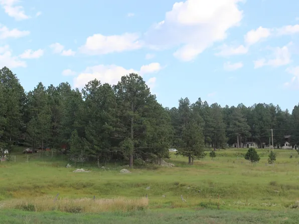 1 & 2 Granite Valley Dr, Custer, SD 57730