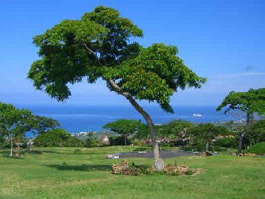 1st image of Kalaniuka St Lot 4
