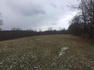 Tbd Pine Tree Ln, Valley Grove, WV 26060