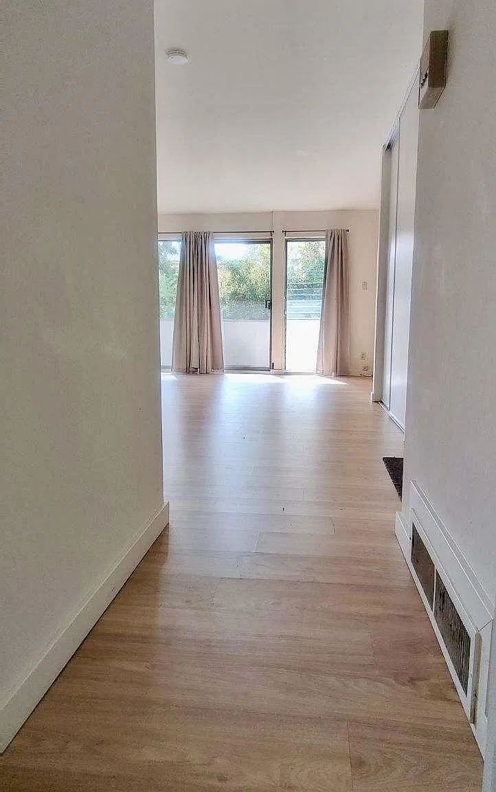 Studio, 534 sqft, $1,895 — Photo 4