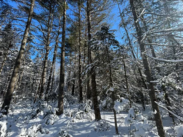 M1L16 Back Belmont Road, Belmont, ME 04952