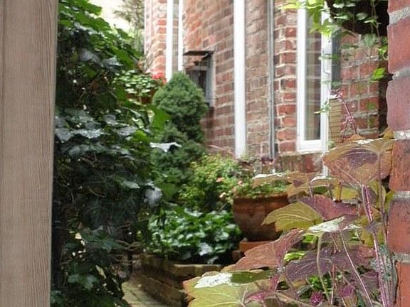 Garden - Walkway