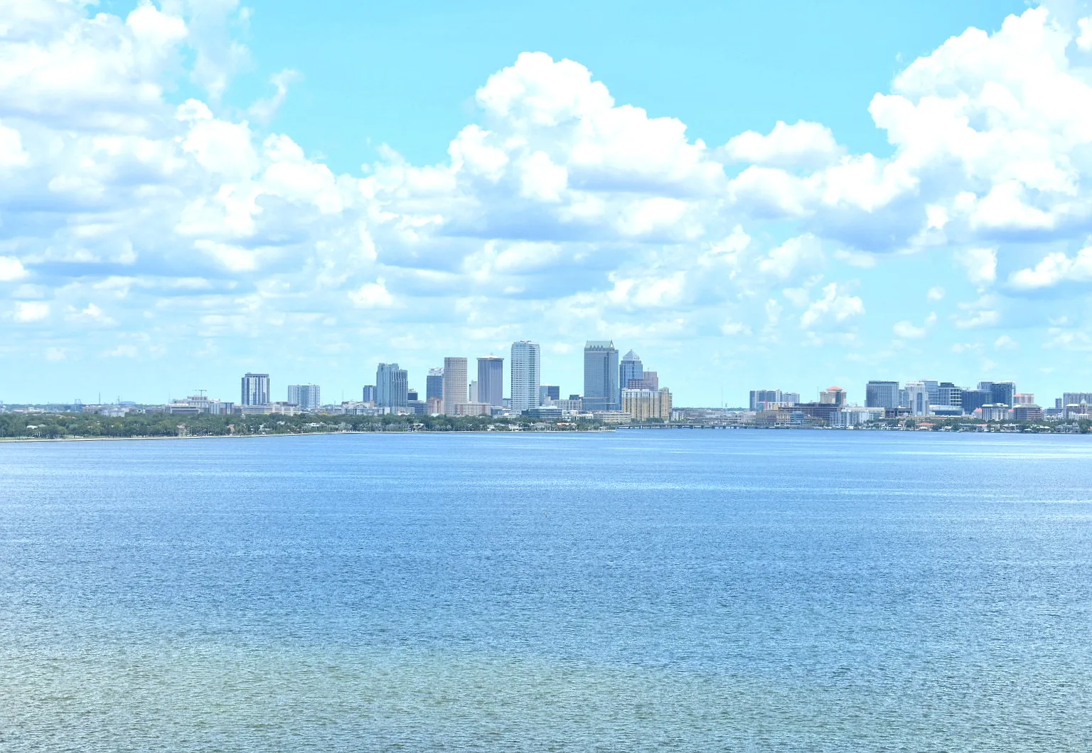 4015 Bayshore Blvd — Photo 2