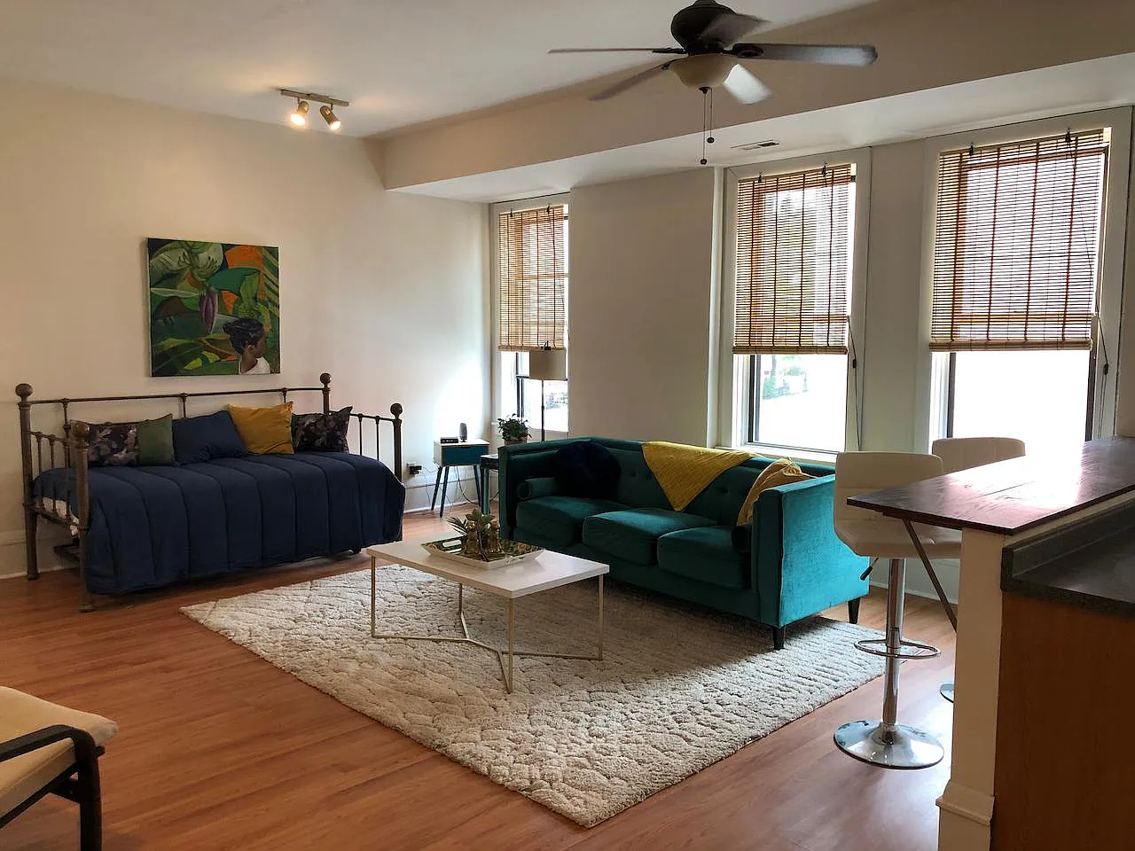 1 bed, 900 sqft, $1,250 — Photo 1