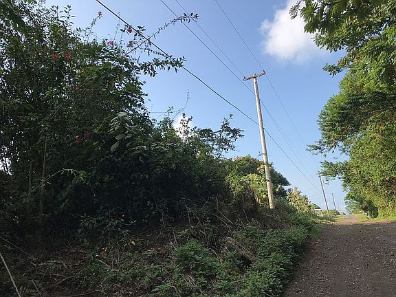 Utility lines along front 