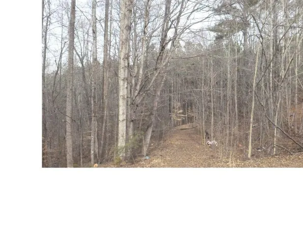 0 Mountview Dr #46, Pelham, NC 27311