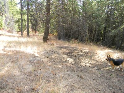 1080 Middle Basin Rd #X, Colville, WA, 99114