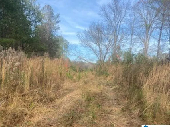 County Rd #486, Heflin, AL 36264