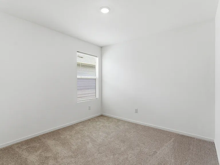 3120 Burmese St — Photo 13