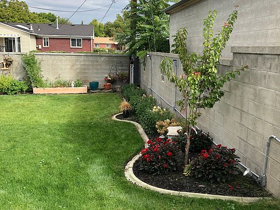 Back yard side view