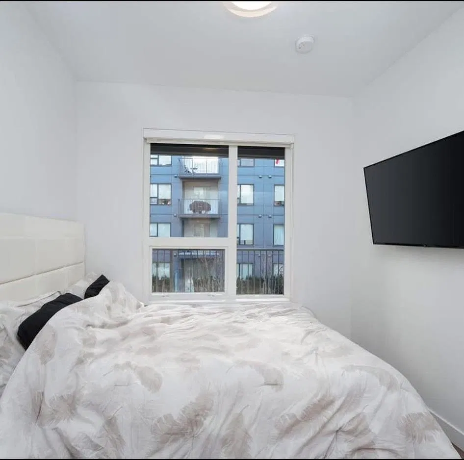 1 bed, 558 sqft, $2,000 — Photo 4