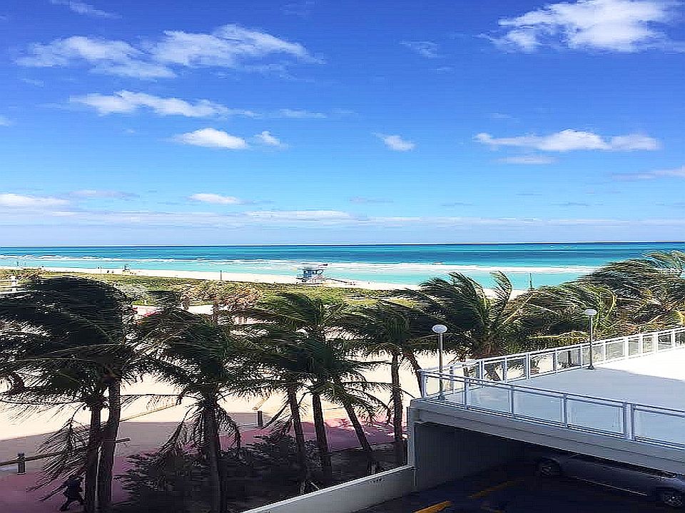 1st image of 7135 Collins Ave APT 405