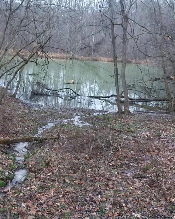 2nd image of 12703 Township Road 429