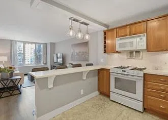 400 E Randolph St #2604 — Photo 2