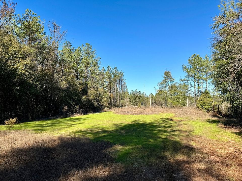 0 Skinner Mill Rd, Peterman, AL 36471 Zillow