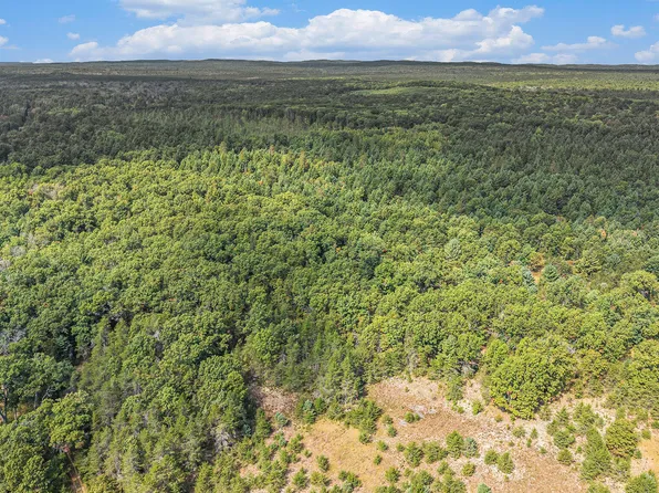 5314 W Us Highway 10, Baldwin, MI 49304