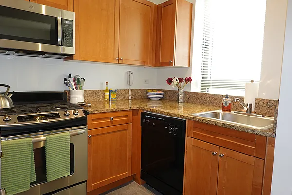 Rented by Carnegie Hill Place | media 29