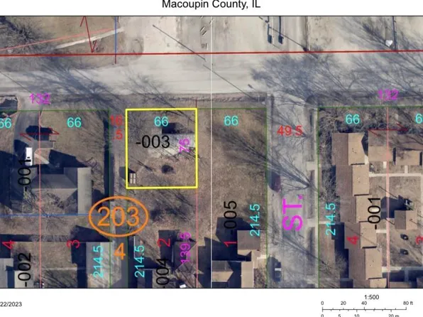 411 W North St, Girard, IL 62640