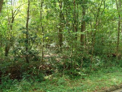 459 Pine Vista Dr, Macon, GA, 31204