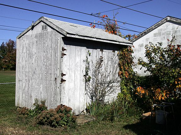 Shed