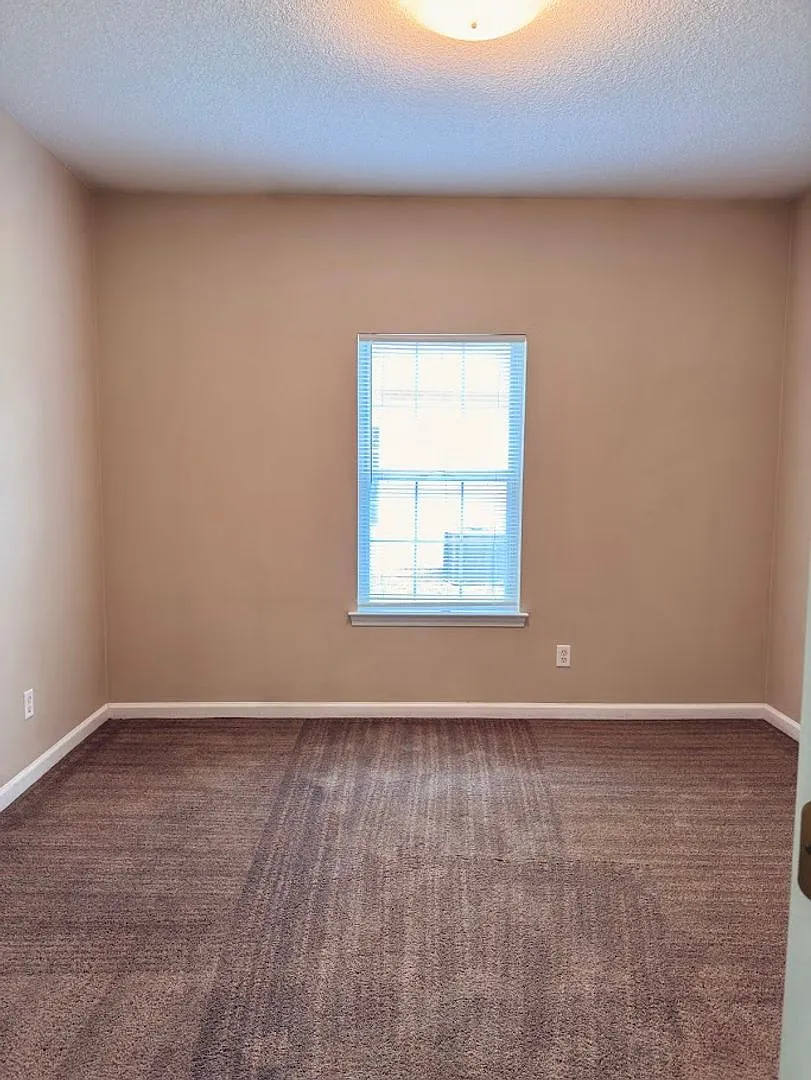 123 Magnolia Court — Photo 4