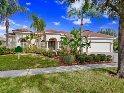 17919 Arbor Haven Dr, Tampa, FL, 33647