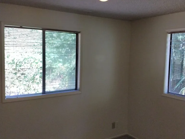 2911ce — Photo 15