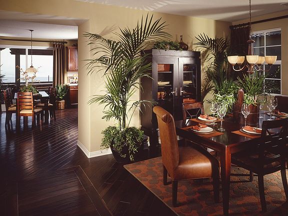 Dining room of model home