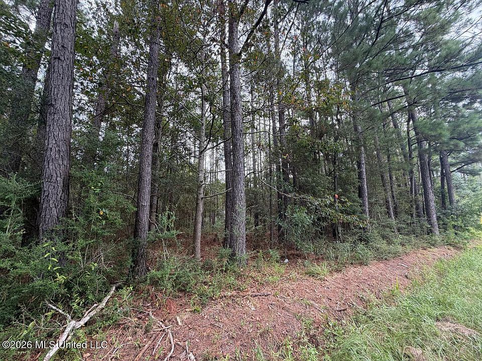 2nd image of W Ridley St Lot 59