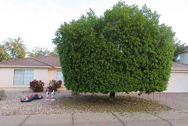 1st image of 5202 E Juniper Ave