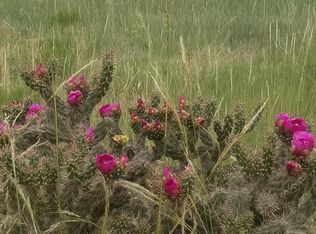 Schmitt Rd, Rye, CO 81069