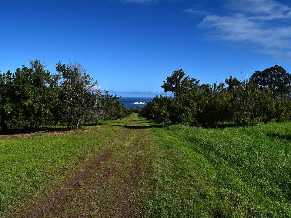 2nd image of LOT 6 Lot 6