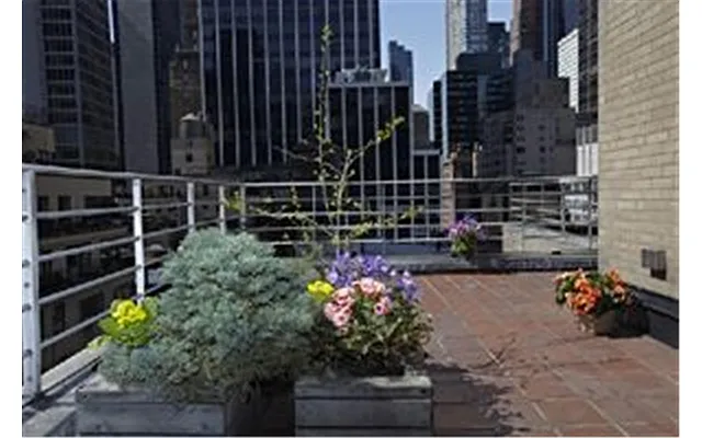 Sold by Douglas Elliman | media 23